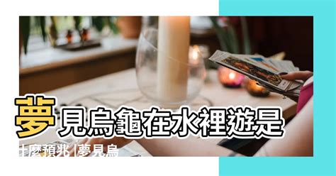 夢見ㄨ龜|夢見龜